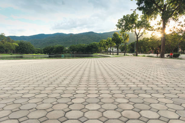 Best Driveway Paver Sealing  in Dodge City, KS